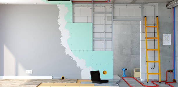 Norwood, NJ Mold Removal Company
